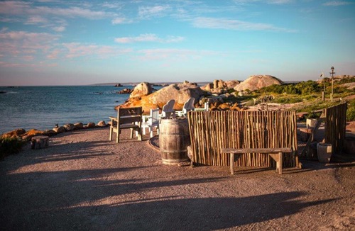 Paternoster Other | Sea Shack