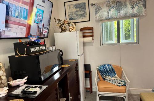 Gambier Apartment | Sea Shells