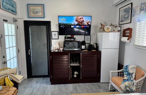 Gambier Apartment | Sea Shells