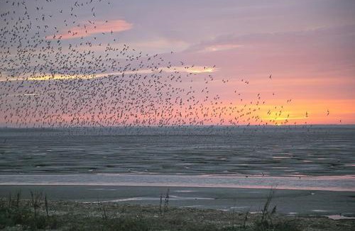 Heacham House | Seagrace