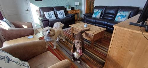 Isle of Lewis House | Seascape Cottage