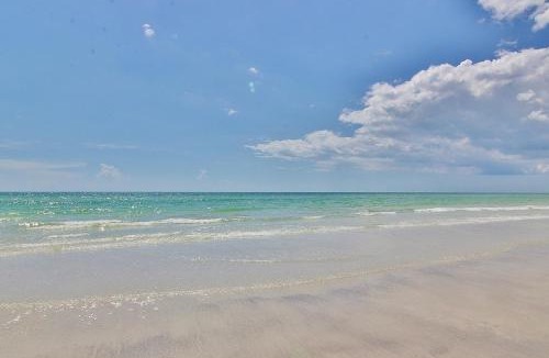 Indian Shores House | Seashell 12