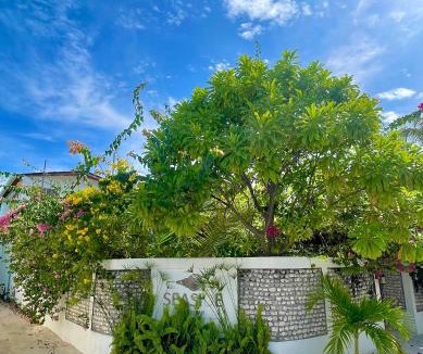 Dhigurah House | Seaside Dhigurah