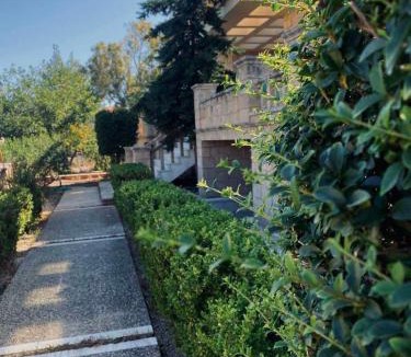 Aegina Town Villa | Seaside "Stone & Light Villa II" close to Aegina City