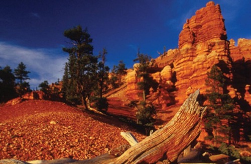 Wolf Creek Resort | Seasons of superb recreation and scenery!