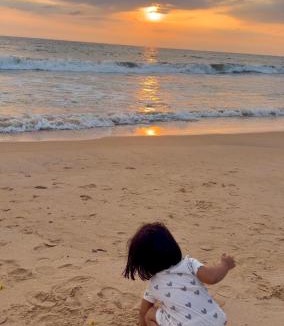 Kannur Cabin | Seawind