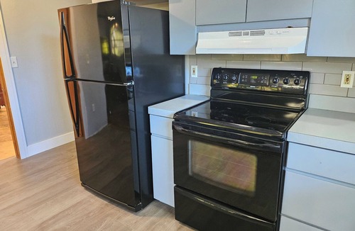 Bokeelia House | Secluded 2-bedroom Island charming Palm Tree Bokeelia house w/Golf Cart, Canoe