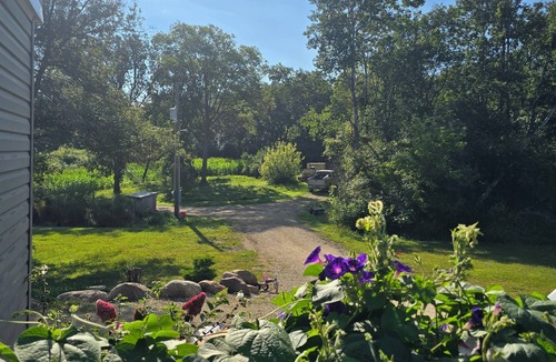 New Hampton Cabin | Secluded 3-bedroom Cabin style home with Pond and Wildlife, mins of New Hampton