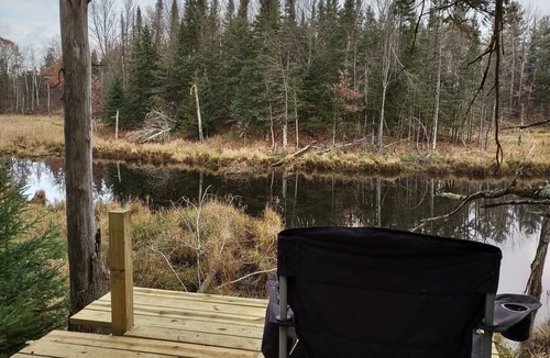 Weyerhaeuser Cabin | Secluded cabin in the woods-UTV, hunting, fishing, pet friendly