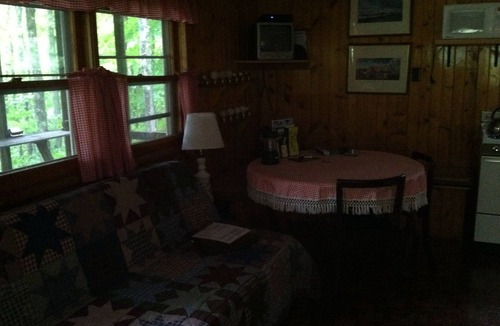 Hartwick Cabin | Secluded Cabin Nestled In The Trees Overlooking Fishing & Canoe Pond