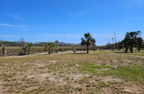 Steinhatchee RV Rental | Secluded campsite with plenty of parking perfect for outdoor fun in Steinhatchee