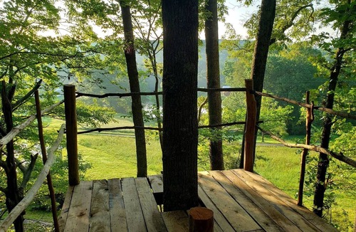 Grandview Cabin | Secluded Forest Cabin with Clear Roof for Stargazing near Watts Bar Lake – Grandview, TN