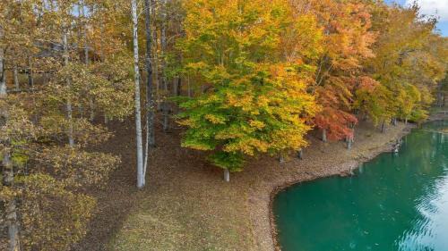 Franklin Apartment | Secluded Lakeview Retreat 10 Mins to Leipers Fork