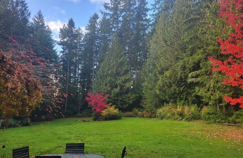 Bainbridge Island House | Secluded large family home on Beautiful Bainbridge Island, town and trails close