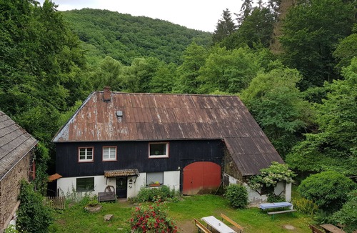 Immerath House | Secluded location in the forest! Renovated farmhouse, family and pet friendly