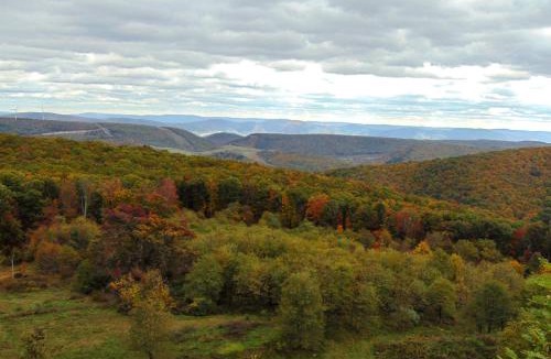 Wardensville House | Secluded Mountain Cabin in Wardensville!