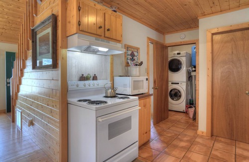 Creede Cabin | Secluded Mountain Cabin - Pet Friendly - National Forest Access