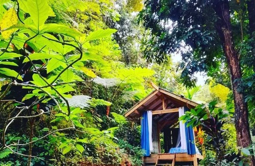 Salto Abajo House | Secluded Mountain Retreat w/river @ Finca Remedio Eco Farm