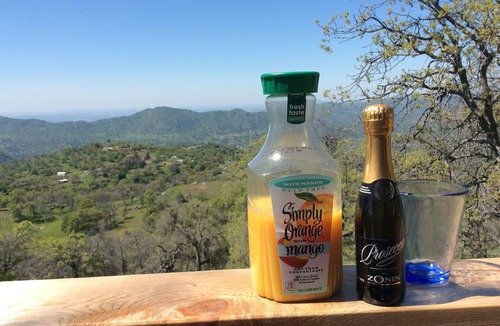 Squaw Valley House | Secluded mountain getaway with amazing views - pet friendly