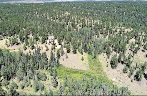 Divide Cottage | Secluded National Forest Home with Hot tub & Game Room