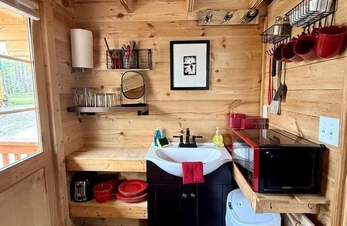Denali Cabin | Secluded, Pet Friendly Cabin near Denali National Park with Mountain and Lake Views, Perfect for an Alaskan Escape