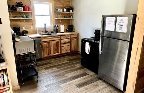 Idlewild Cabin | Secluded Rustic Cabin with Hot Tub Near Pere Marquette River in Big Rapids, Michigan