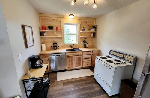 Idlewild Cabin | Secluded Rustic Cabin with Hot Tub Near Pere Marquette River in Big Rapids, Michigan