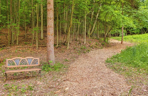 Suttons Bay Cottage | Secluded Suttons Bay Retreat w/Fire Pit!