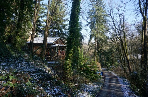 North Admiral Cabin | Secluded Tree-Top Cabin on West Seattle Waterfront