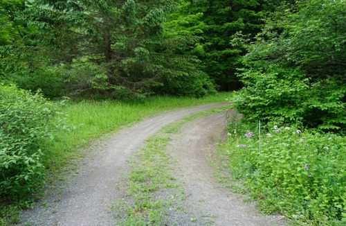 Roxbury House | Seclusion only minutes away from everything !