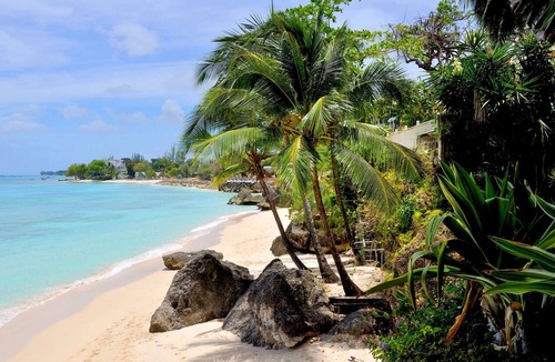 Fitts Village Apartment | Secret Cove 1 Luxury apartment