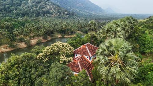 Chittur Hotel | Seethavanam Farmstay at Forest Edge