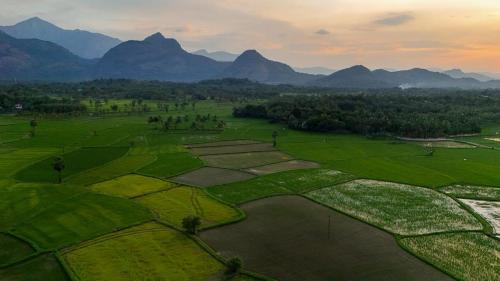 Chittur Hotel | Seethavanam Farmstay at Forest Edge