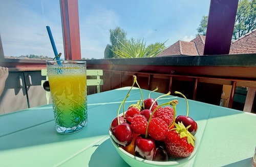 Kressbronn Apartment | Seezauber vacation apartment - magical vacation enjoyment in Kressbronn
