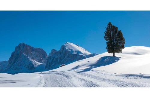 Compaccio Hotel | Seiser Alm Plaza