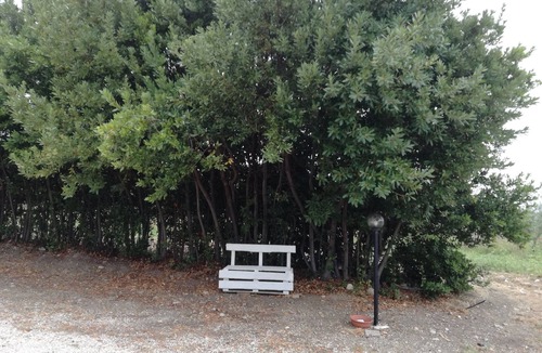 Termoli Apartment | Self-contained apartment - ground floor