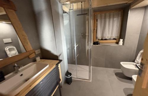 Selva di Cadore Apartment | Selva loft