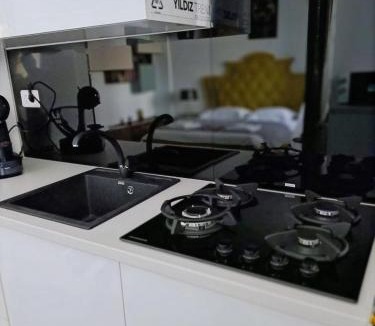 Iasi Apartment | Sena Palas Centru