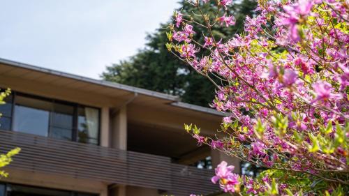 Hakone Hotel | Sengokubara COCON