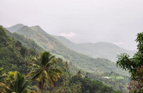 Talipparamba House | SenSac Paithalthattu Homestay