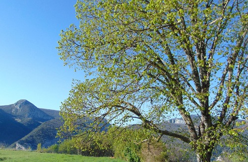 Rougon House | Separated studio on a fenced lot entering the Gorges du Verdon