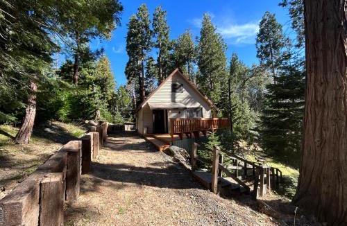 Posey House | Sequoia National Forest Cabin-ATV Ride