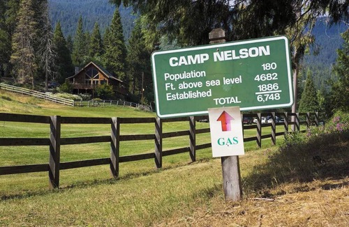 Camp Nelson Cabin | Sequoia Time Capsule: Spa, Walk 2 Giant Sequoias, River, Fish, Bike, Saloon