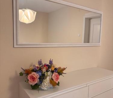Satu Mare Apartment | Serafina central Apartment
