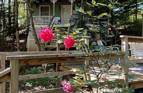 Blairsville Cottage | Serene and Pet Friendly Woodland Cottage, Nestled in the Blue Ridge Mountains of Georgia