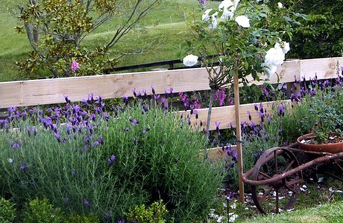 Waingaro Cabin | Serene Bed and Breakfast near Hamilton, New Zealand