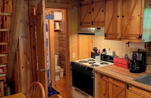 Flat Hollow Marina Cabin | Serene cabin with dock/swim platform in charming Speedwell