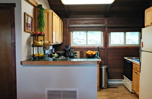 Indian Lake Cabin | Serene Lakeview Cabin Retreat w/Dock, Kayak & SUP at Indian Lake