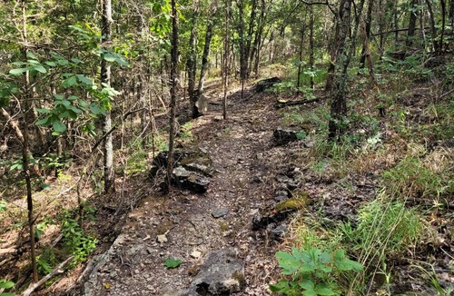 Cedarcreek RV Rental | Serene Rustic Campsites at Cedar Ridge Ranch & Trails