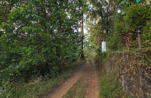 Irinjalakuda House | "serene Stream: 5-bed Luxury Haven Near Athirappilly"